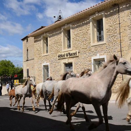 Hôtel O’Banel Gallargues-le-Montueux Exterior foto